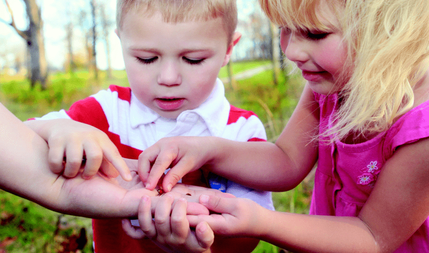 Learn N Play Academy 4